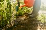 botte-jardin